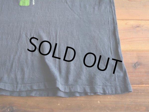 画像6: 1970s Hanes 自然保護プリントTシャツ　 表記L  (6)