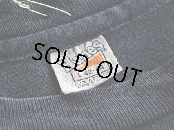 画像3: 1970s Hanes 自然保護プリントTシャツ　 表記L  (3)