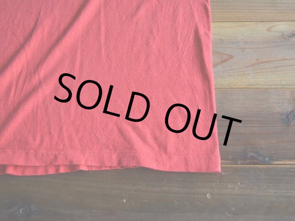 画像7: 1980s AUSTIN アルマジロTシャツ　 表記M  (7)