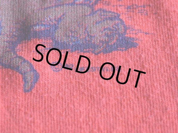 画像6: 1980s AUSTIN アルマジロTシャツ　 表記M  (6)