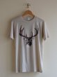 画像1: 1980s Deer Head Tシャツ　 表記L  (1)