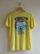 画像2: 1980s Hawaiian Tropic&Q107 The Beach Boys Spirit of America Tシャツ　 実寸ML  (2)