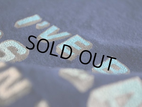 画像7: 1980s Hanes LOS ALAMOS Tシャツ　 表記L  (7)