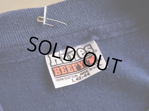 画像3: 1980s Hanes LOS ALAMOS Tシャツ　 表記L  (3)