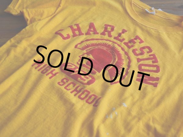 画像6: 1970s Champion フロッキーTシャツ　 表記L  (6)