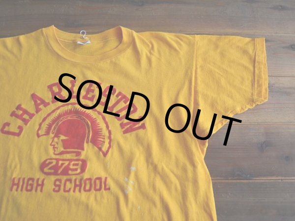 画像5: 1970s Champion フロッキーTシャツ　 表記L  (5)