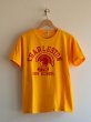 画像1: 1970s Champion フロッキーTシャツ　 表記L  (1)