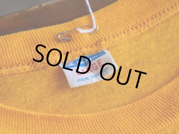 画像3: 1970s Champion フロッキーTシャツ　 表記L  (3)