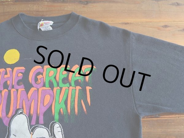 画像4: 1990s Snoopy Halloweenスウェット　 表記XL  (4)