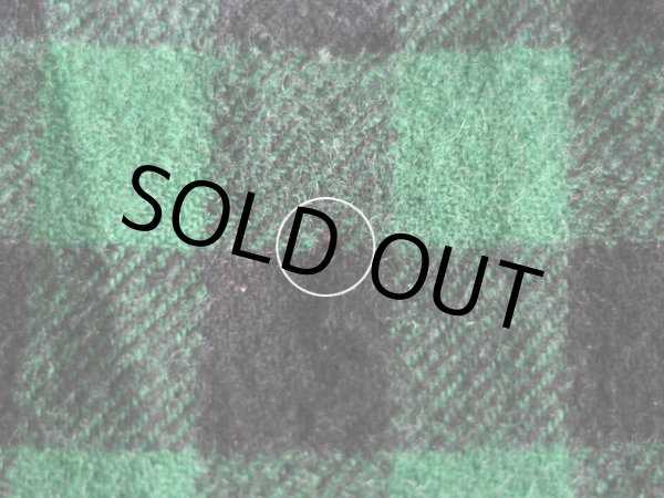 背中に小さな虫食い。