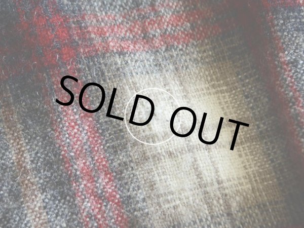 背中右上付近に小さな虫食い。