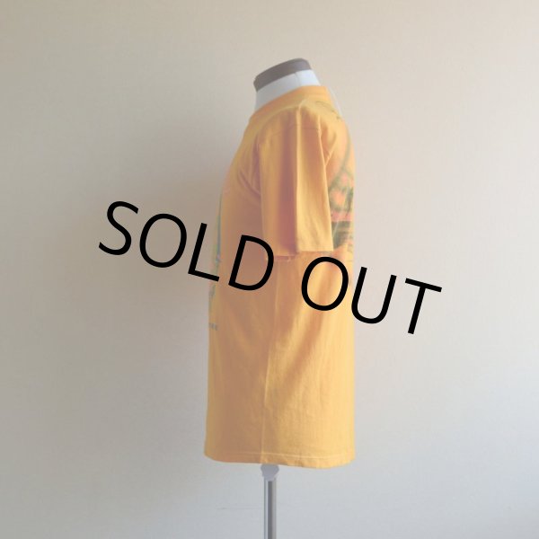 画像4: 1980s SPRING BREAK Tシャツ　 背面エアブラシペイント　 表記M  (4)