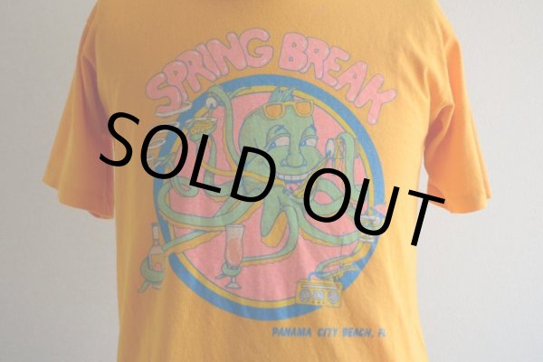 画像7: 1980s SPRING BREAK Tシャツ　 背面エアブラシペイント　 表記M  (7)