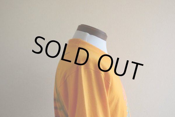 画像9: 1980s SPRING BREAK Tシャツ　 背面エアブラシペイント　 表記M  (9)