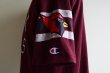 画像10: 1980s Champion PHOENIX CARDINALS フットボールTシャツ　 表記L  (10)