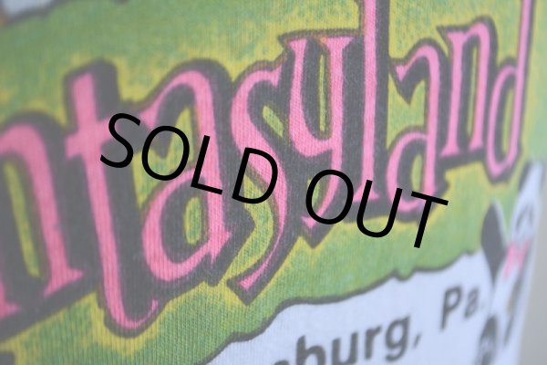 画像10: 1970s Fantasyland リンガーTシャツ　 表記M  (10)