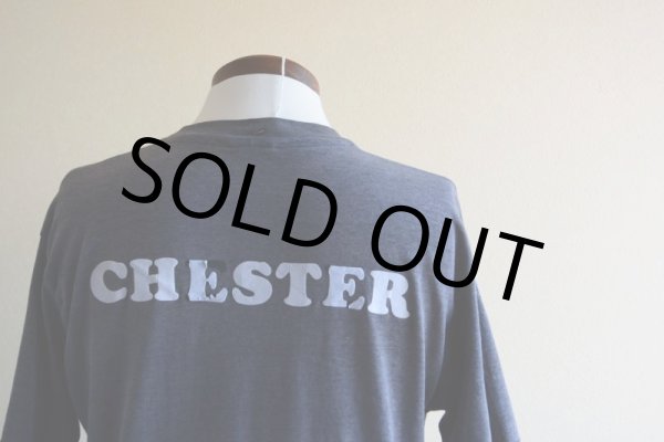 画像14: 1980s BORIS VALLEJO 幻想絵画Tシャツ　 実寸L  (14)