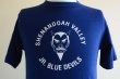 画像7: 1980s JR.BLUE DEVILS Tシャツ　 表記M  (7)