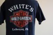 画像13: 1990s Harley-Davidson Tシャツ　 表記M  (13)