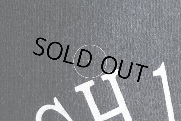 画像16: 1990s The Allman Brothers Band Live at the Beacon Theater Tシャツ  表記XL  (16)