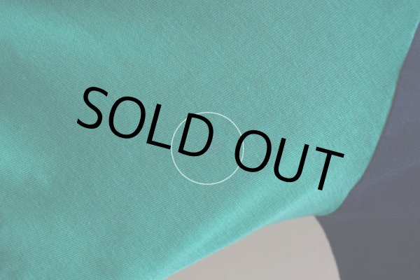 画像13: 1970s NIKE VネックTシャツ  表記L  (13)