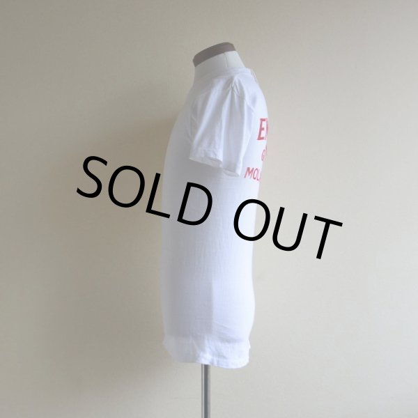 1960s STYLECRAFT フロッキーTシャツ バックプリント 表記M - 古着屋