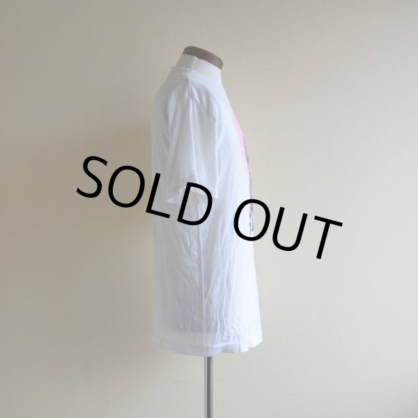 画像2: 1980s DOBERMAN Tシャツ　 実寸M  (2)