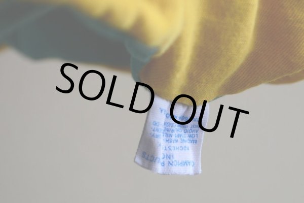 画像16: 1970s Champion リバーシブルTシャツ  染み込みプリント  表記XL  (16)