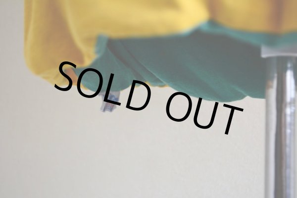 画像14: 1970s Champion リバーシブルTシャツ  染み込みプリント  表記XL  (14)