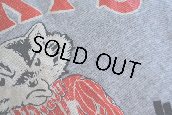 画像8: 1980s WISCONSIN カレッジスウェット　 表記L  (8)