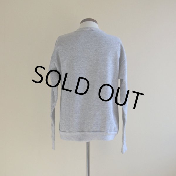 画像3: 1980s WISCONSIN カレッジスウェット　 表記L  (3)