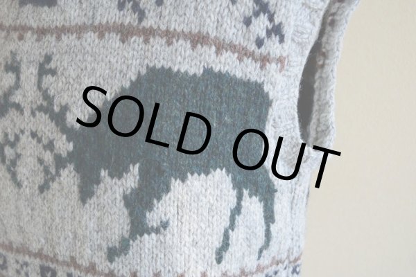 画像7: RalphLauren トナカイ柄ウールニットベスト　 表記M  (7)