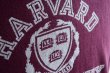 画像9: 1980s Champion HARVARDカレッジTシャツ　 表記XL  (9)