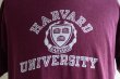 画像8: 1980s Champion HARVARDカレッジTシャツ　 表記XL  (8)