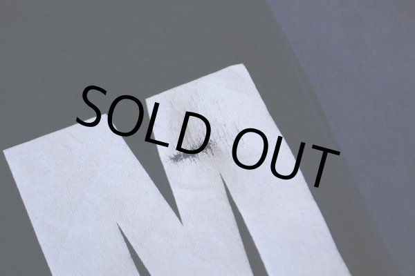 画像11: I AM HIP HOP Tシャツ　 表記XL  (11)