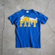 画像5: 1980s PITTSBURGH PANTHERS Tシャツ　 表記M  (5)