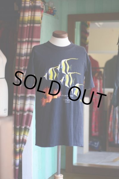 画像2: 1990s スクリップス海洋研究所Tシャツ  表記L  (2)