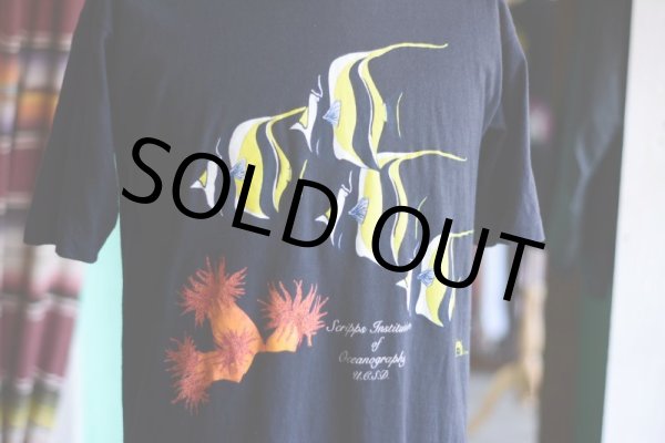 画像5: 1990s スクリップス海洋研究所Tシャツ  表記L  (5)