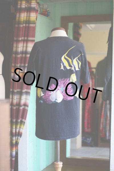 画像3: 1990s スクリップス海洋研究所Tシャツ  表記L  (3)