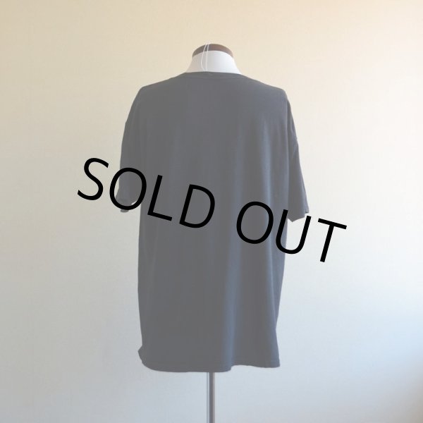 画像3: Albert Einstein Tシャツ　 実寸L〜  (3)