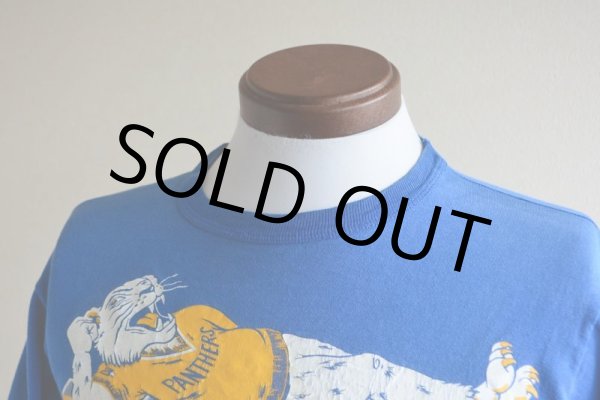 画像6: 1980s PITTSBURGH PANTHERS Tシャツ　 表記M  (6)