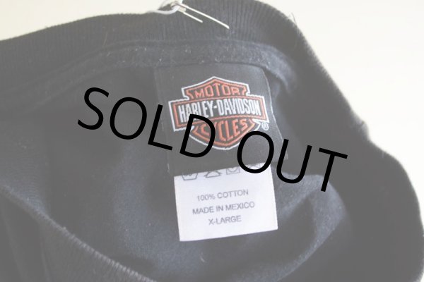 画像13: Harley-Davidson Tシャツ　 表記XL  (13)