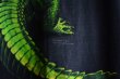 画像5: ワニTシャツ　 両面プリント　 表記2XL  (5)