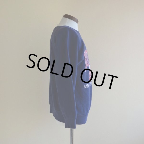 画像2: 1980s Champion Minnesota Twins スウェット  表記L  (2)