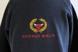 画像7: 1990s CHICAGO BULLS スウェット　 表記L  (7)