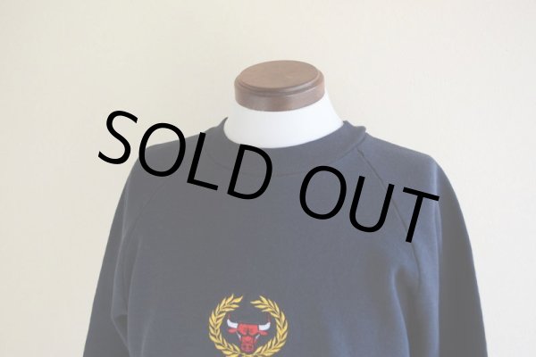 画像6: 1990s CHICAGO BULLS スウェット　 表記L  (6)