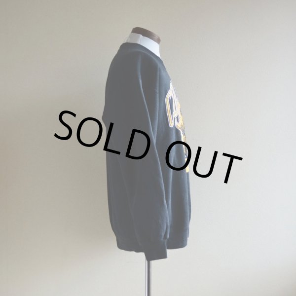 画像2: 1980s-90s COLORADO BUFFALOES スウェット  表記L  (2)