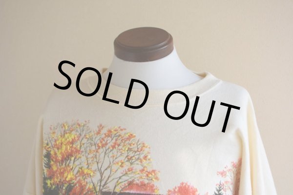 画像7: 紅葉スウェット  MADE IN USA  表記ONE SIZE  (7)