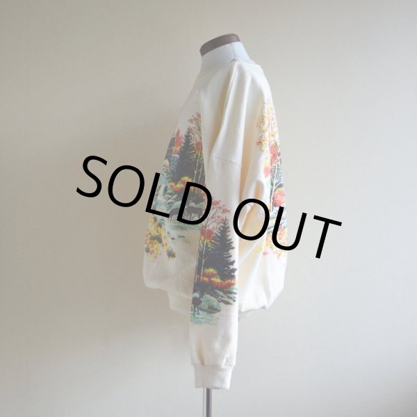 画像4: 紅葉スウェット  MADE IN USA  表記ONE SIZE  (4)