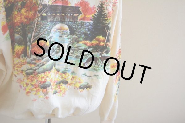 画像13: 紅葉スウェット  MADE IN USA  表記ONE SIZE  (13)